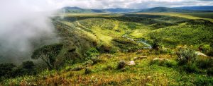 Ngorongoro Highlands Hiking