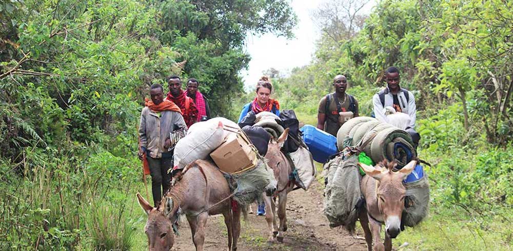 Ngorongoro Trekking Donkey Safari