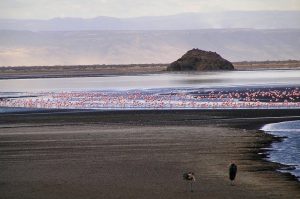 Trekking Safari Ngorongoro to Natron