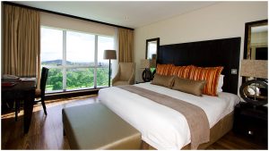 Mount Meru Hotel Deluxe Room