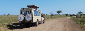 Tanzania Safari
