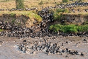Avoid 10 Common Mistakes on Safari Tanzania