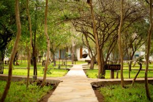 Selous Safari Lodge Exterior
