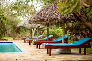Selous Safari Lodge Swimming