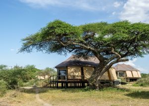 Ndutu Plains accommodations
