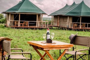 Tukaone Serengeti Weavers Camp tents