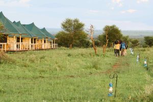 Tukaone Weavers Camp Surroundings