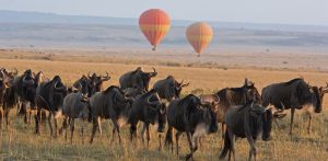 What is Tanzania famous for?