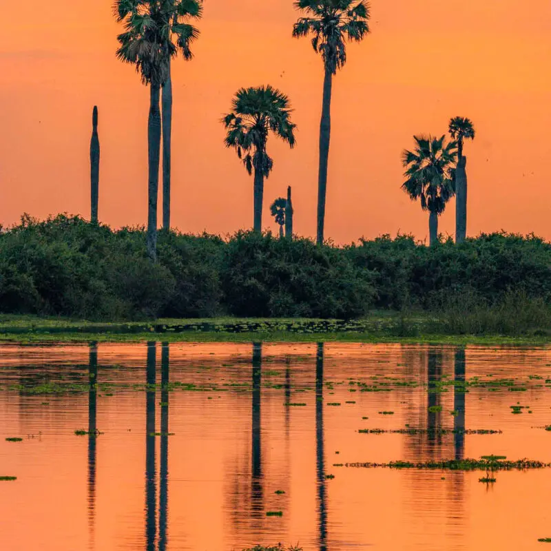 3 days Nyerere from Zanzibar