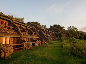 Affordable Tanzania Safari Accommodations Ngorongoro Serena Lodge