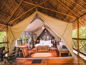 Affordable Tanzania Safari Accommodations Nyerere Tented Camp