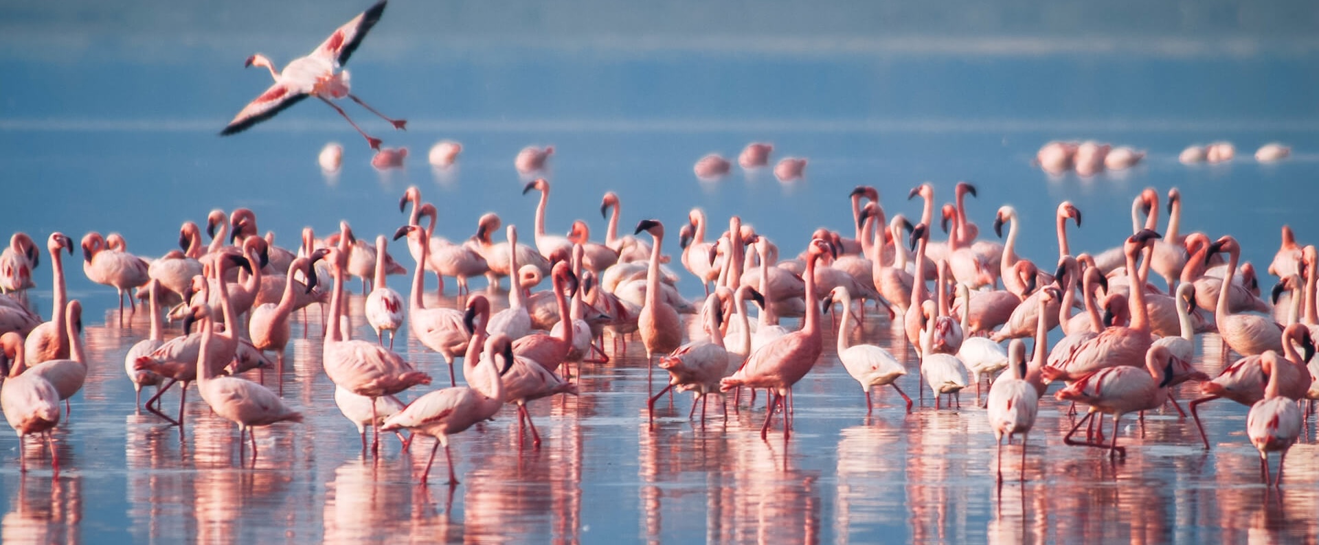 Lake Manyara National Park