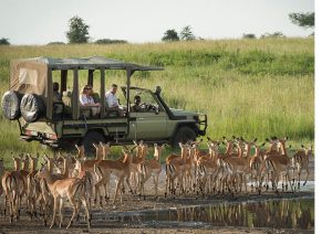 Nyerere National Park Game Drives