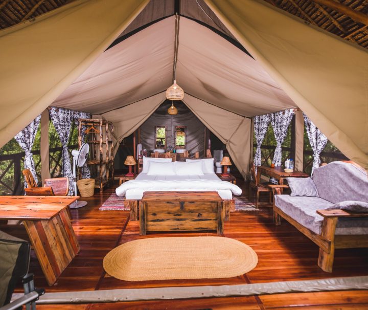 Nyerere Tented Camp