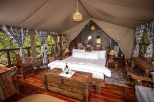Nyerere Tented Camp Tanzania