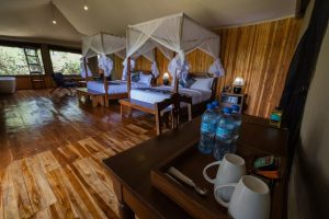 Safari Haven Central Camp Twin