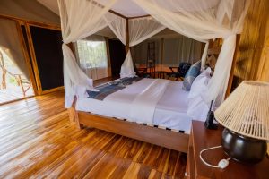 Serengeti Safari Haven Central Camp