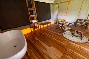 Serengeti Safari Haven Camp