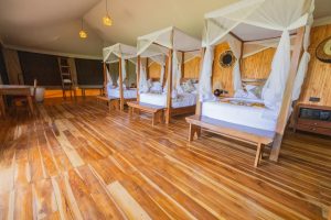 Serengeti Haven Central Camp Triple Room