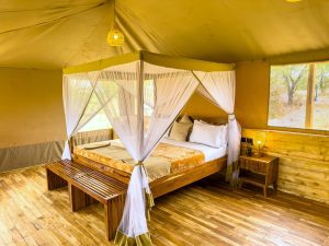 Tukaone Mwaloni Camp Double Room