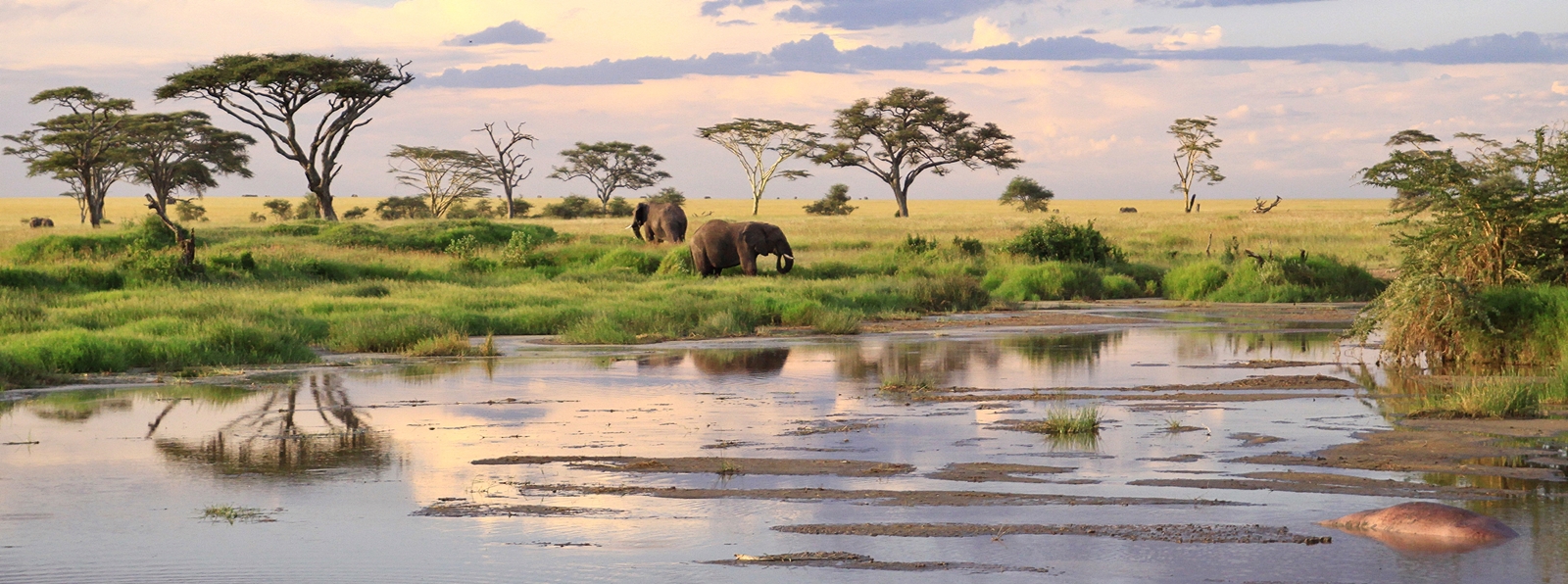 Visit Tanzania 2026/2027 | Safari, Kilimanjaro & Zanzibar Guide