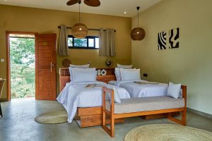 Rhotia Hills Cottage Twin Bedroom